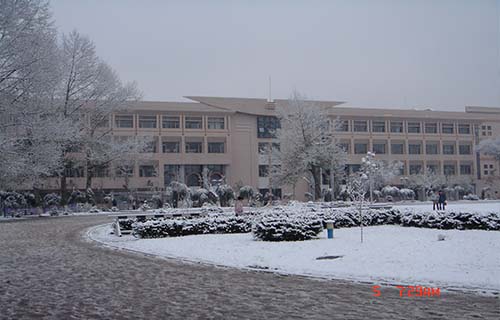 冬季图书馆