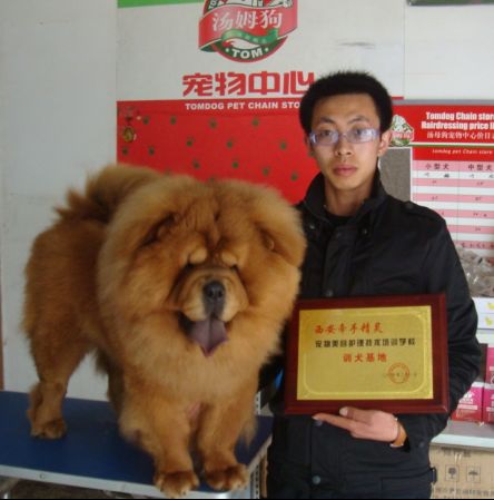 王强，2007届畜牧兽医系兽医专业毕业生，自主创业先后开办宠物诊所“Tomdog宠物中心”和“三强猪场”。