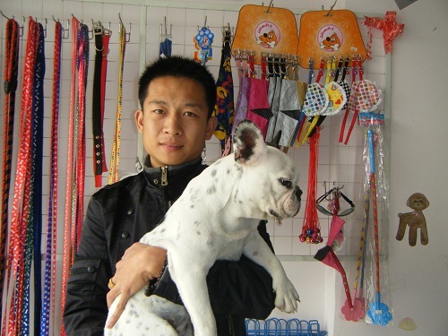 张铭阳，2010届兽医专业毕业生，自主创业创办“爱宠坊”，主要从事宠物美容与护理等，年收入30万元左右。